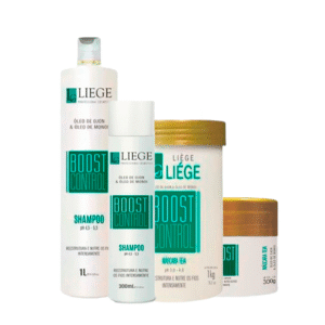 Liege kit Boost Control